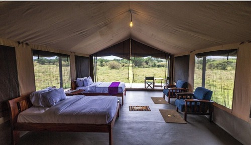 Tienda Deluxe, vistas al parque