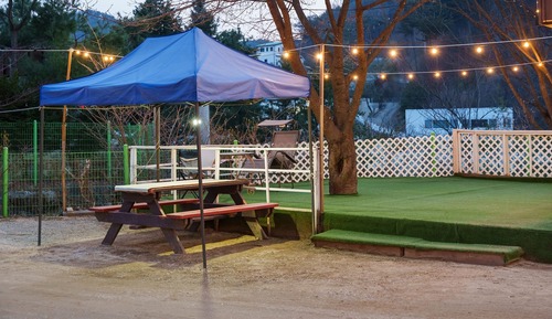 Habitación básica, 1 habitación (Camping Room (BBQ / Campsite Access))