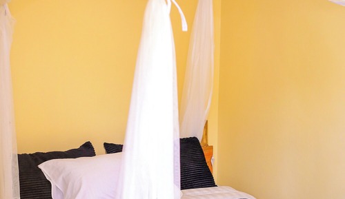 Habitación básica doble, baño privado, vistas al jardín