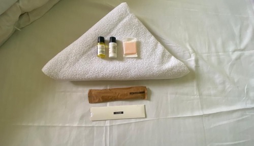 Habitación Deluxe doble