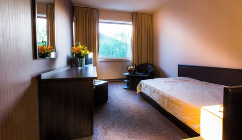 Habitación Business individual