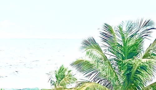 Suite estudio Confort, patio, vistas al mar