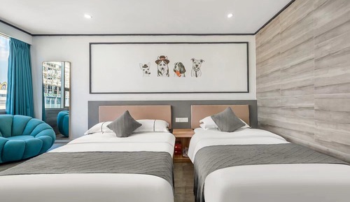 Light Luxury Twin Room