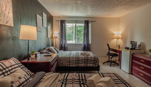 Habitación cuádruple estándar, 2 camas dobles, Se admiten mascotas, vistas al patio