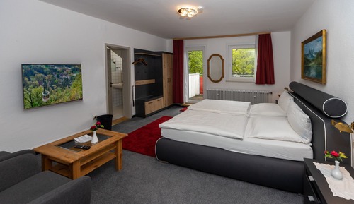 Habitación Deluxe con 2 camas individuales, baño privado, vistas a la montaña