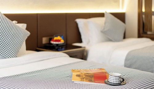 Habitación básica con 2 camas individuales, vistas a la ciudad