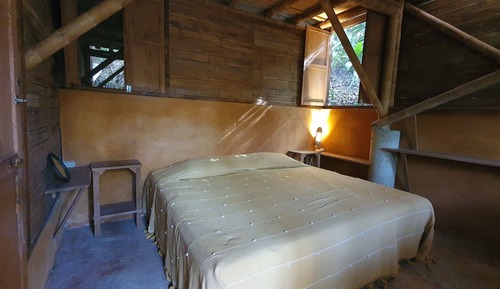 Habitación básica, vistas al jardín