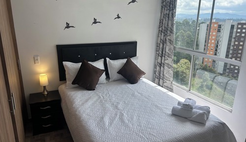 Apartamento básico, vistas a la ciudad