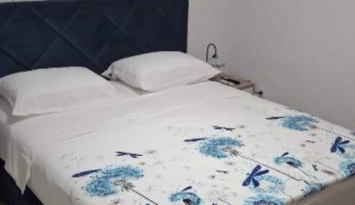 Estudio (Studio Apartment Sineva)