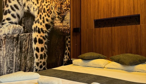 Habitación doble superior de uso individual