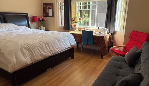 Suite estudio ejecutiva, 1 cama de matrimonio grande con sofá cama, vistas al patio