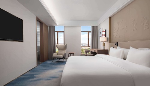 Suite Deluxe, 1 cama de matrimonio grande
