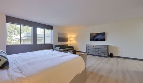 Suite estudio superior, 1 cama de matrimonio grande, cocina básica