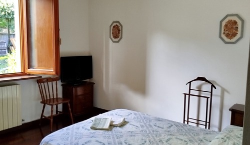 Habitación básica, vistas al jardín