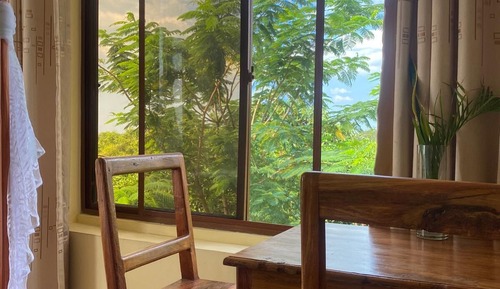 Habitación económica doble, vistas al jardín