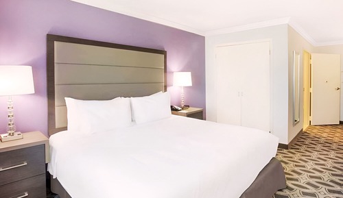 Habitación individual estándar, 1 cama de matrimonio grande, accesible en silla de ruedas