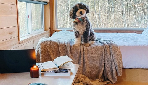 Cabaña estándar, 1 cama de matrimonio