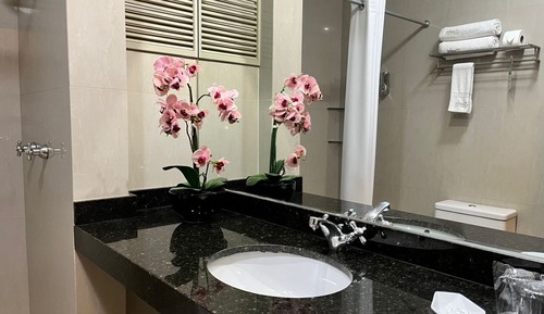 Habitación estándar con 2 camas individuales