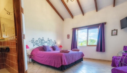 Executive Double Room, 1 Queen Bed