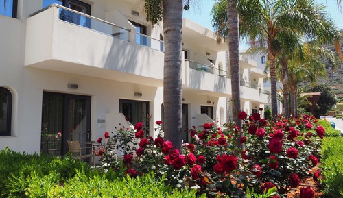 Superior Double Room Garden View