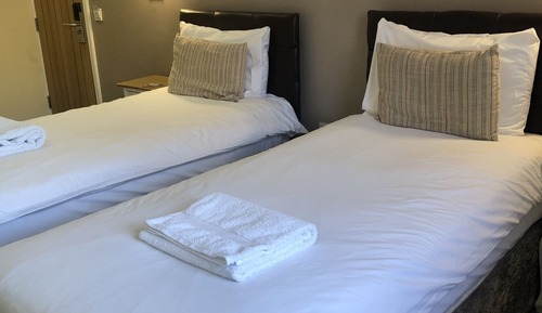 Habitación con 2 camas individuales, baño privado, vistas al jardín