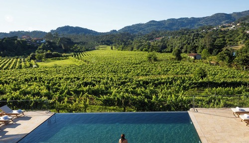 Habitación doble superior, vistas al viñedo, junto a la piscina