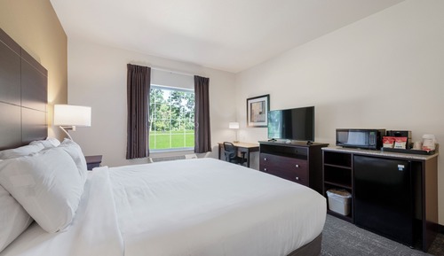 Estudio, 1 cama de matrimonio grande con sofá cama, accesible en silla de ruedas, no fumadores