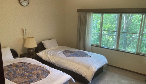 Habitación Deluxe con 2 camas individuales, vistas a la montaña