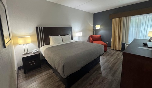 Habitación estándar, 1 cama de matrimonio grande, no fumadores