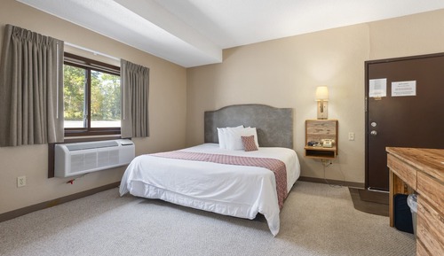 Habitación básica, 1 cama de matrimonio grande