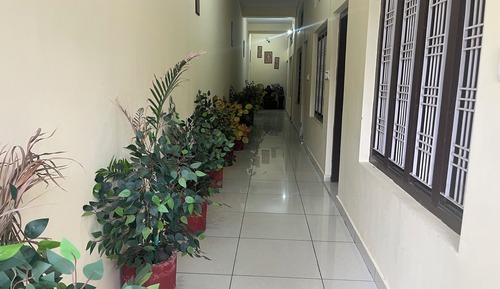 Habitación Premium doble, 1 cama de matrimonio grande, Se admiten mascotas