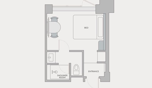 Habitación estándar, no fumadores (Queen, with shower)