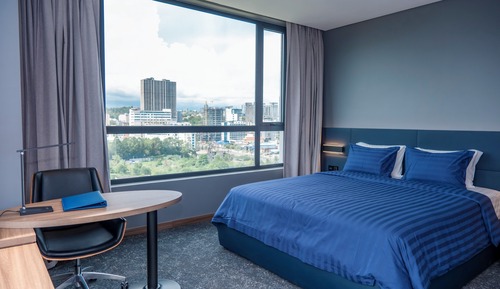 Suite, 1 cama doble, no fumadores, vistas a la ciudad