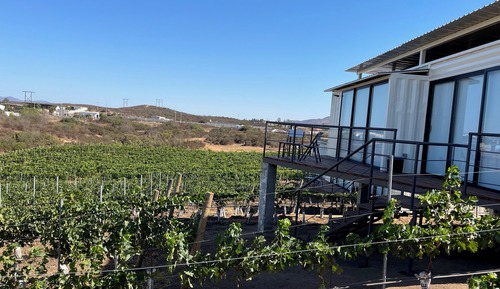 Habitación de lujo doble, vistas al viñedo