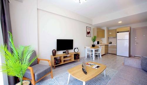 Apartamento estándar, 1 cama de matrimonio grande, no fumadores, cocina básica (with Sofabed)