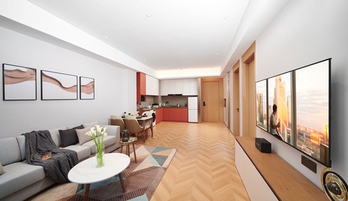 Suite ejecutiva, 1 habitación