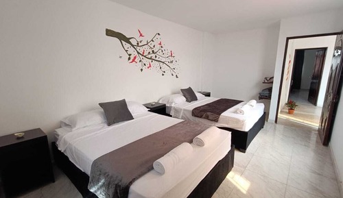 Habitación cuádruple clásica
