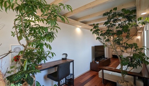 Villa Deluxe, no fumadores