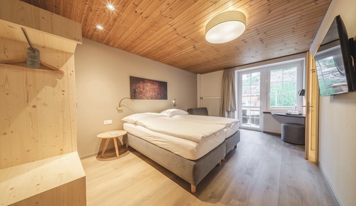 Habitación Deluxe con 2 camas individuales