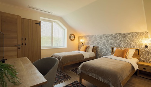 Habitación Deluxe con 2 camas individuales