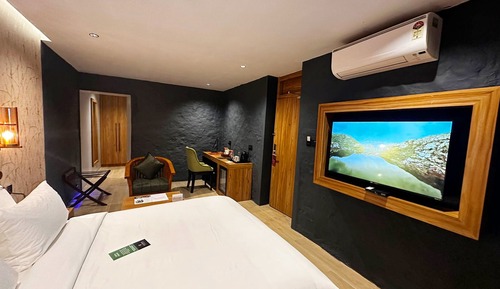 Habitación de lujo, 1 cama de matrimonio