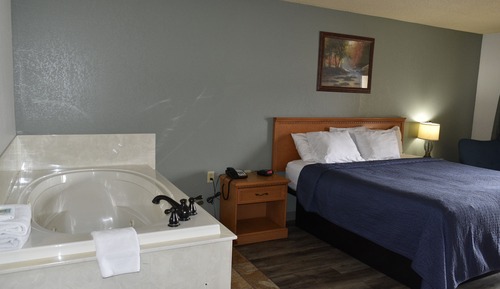 Habitación individual estándar, 1 habitación, Se admiten mascotas