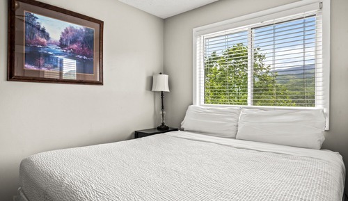 Condo, 1 King Bed with Sofa bed, Balcony, Mountain View