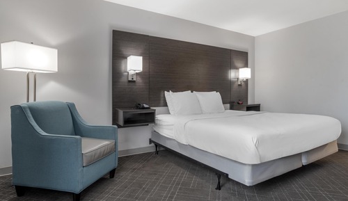 Habitación estándar, 1 cama de matrimonio grande (Walk-in Shower;with Sofabed)