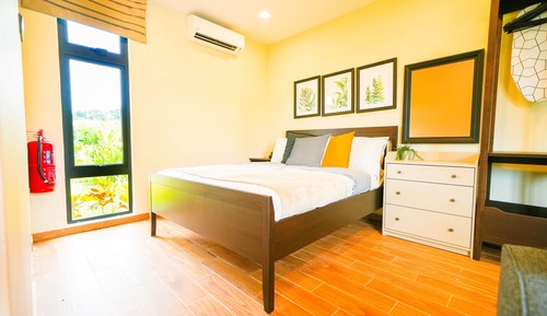 Suite estudio Premium