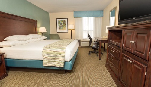 Habitación estándar, 1 cama de matrimonio grande