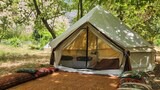Honeymoon Tent, Beach View
