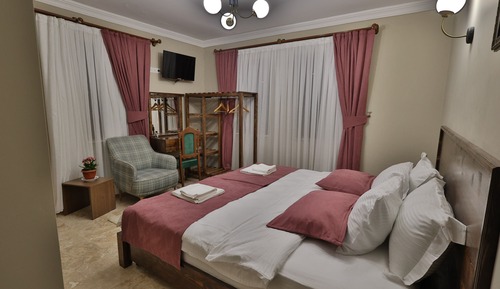 Habitación junior con 1 cama doble o 2 individuales, vistas al jardín