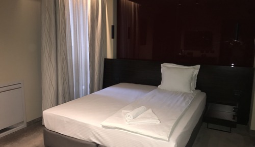 Habitación Business individual, vistas al jardín