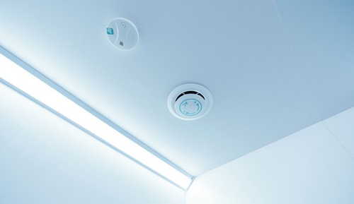Habitación individual (Earth Single)